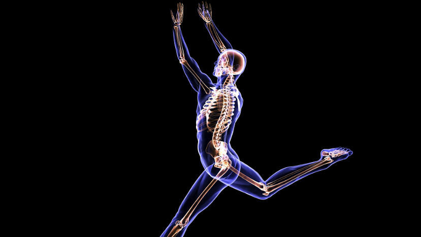 Dancers and Back Pain